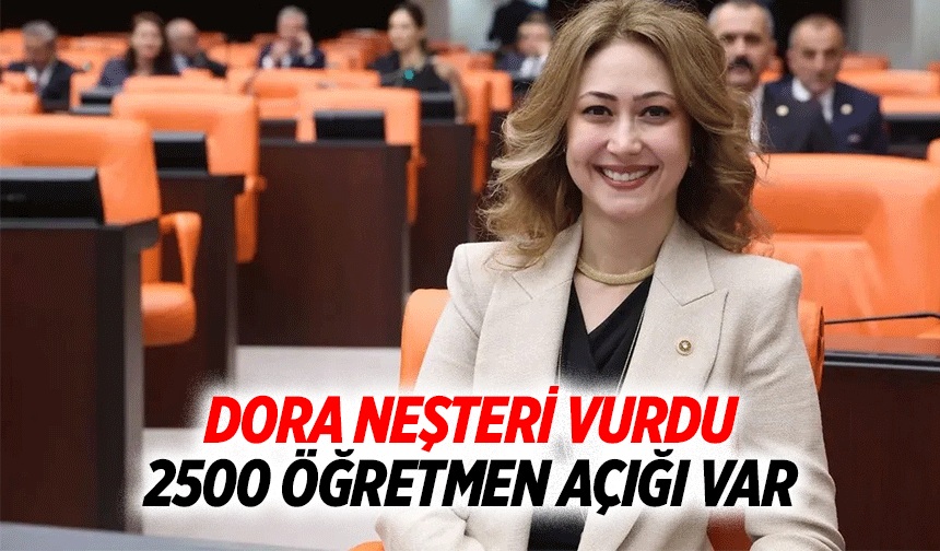 Dora Neşteri Vurdu; 2500 Öğretmen Açığı Var