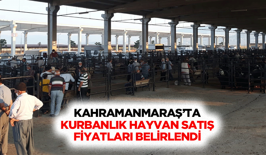 Kahramanmaraş’ta Kurbanlık Hayvan Satış Fiyatları Belirlendi