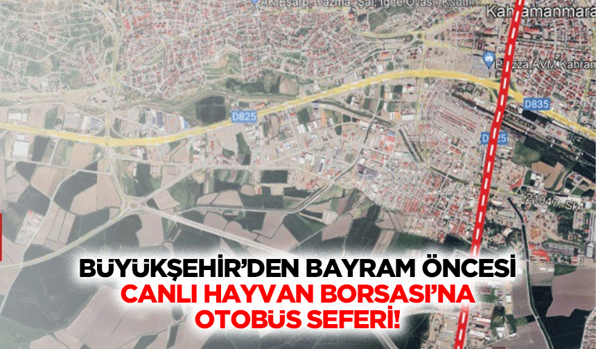 Büyükşehir’den Bayram Öncesi Canlı Hayvan Borsası’na Otobüs Seferi!