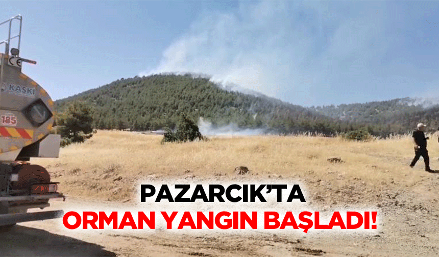 Pazarcık’ta orman yangın başladı!