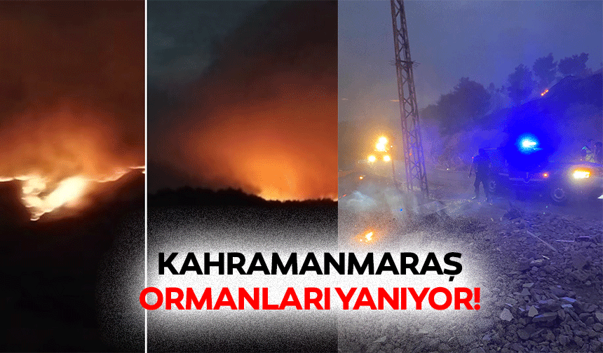 Kahramanmaraş ormanları yanıyor!