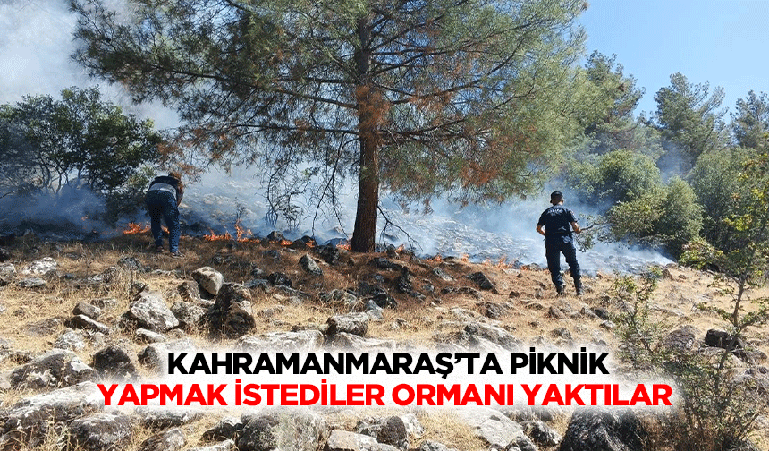 Kahramanmaraş’ta Piknik Yapmak İstediler Ormanı Yaktılar!