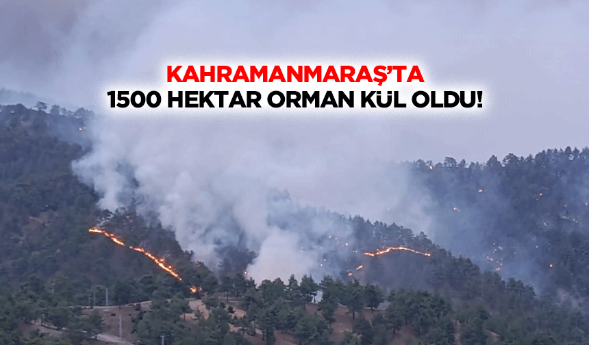 Kahramanmaraş’ta 1500 hektar orman kül oldu!