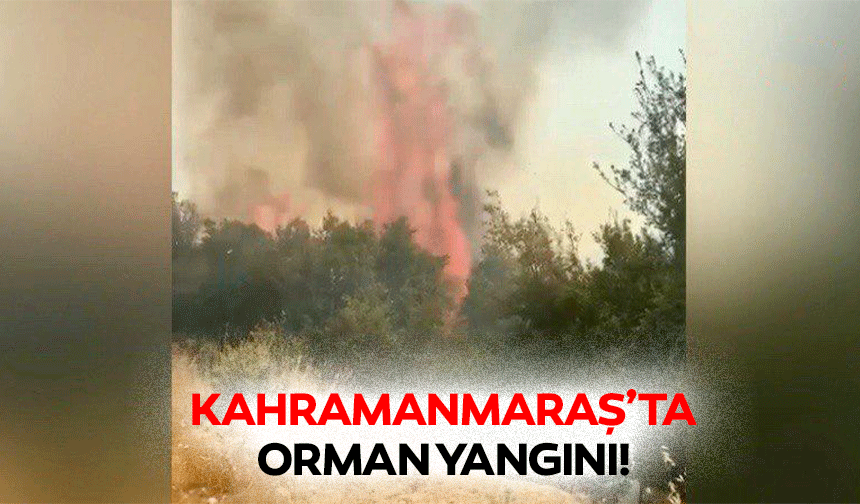 Kahramanmaraş’ta orman yangını!