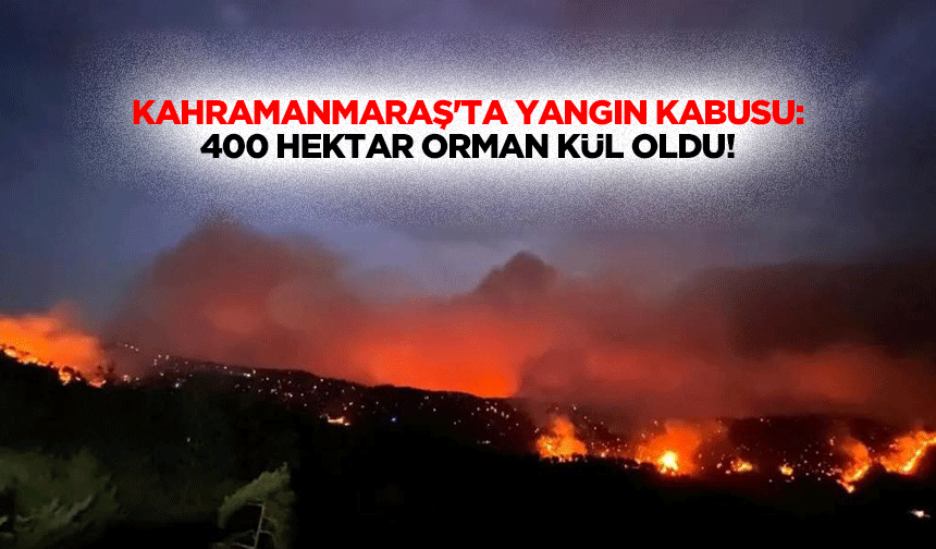 Kahramanmaraş'ta Yangın Kabusu: 400 Hektar Orman Kül Oldu!