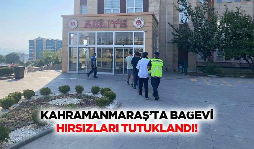 Kahramanmaraş’ta Bağevi Hırsızları Tutuklandı!