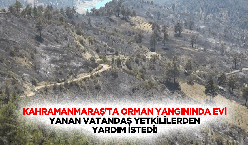 Kahramanmaraş'ta Orman Yangınında Evi Yanan Vatandaş Yetkililerden Yardım İstedi
