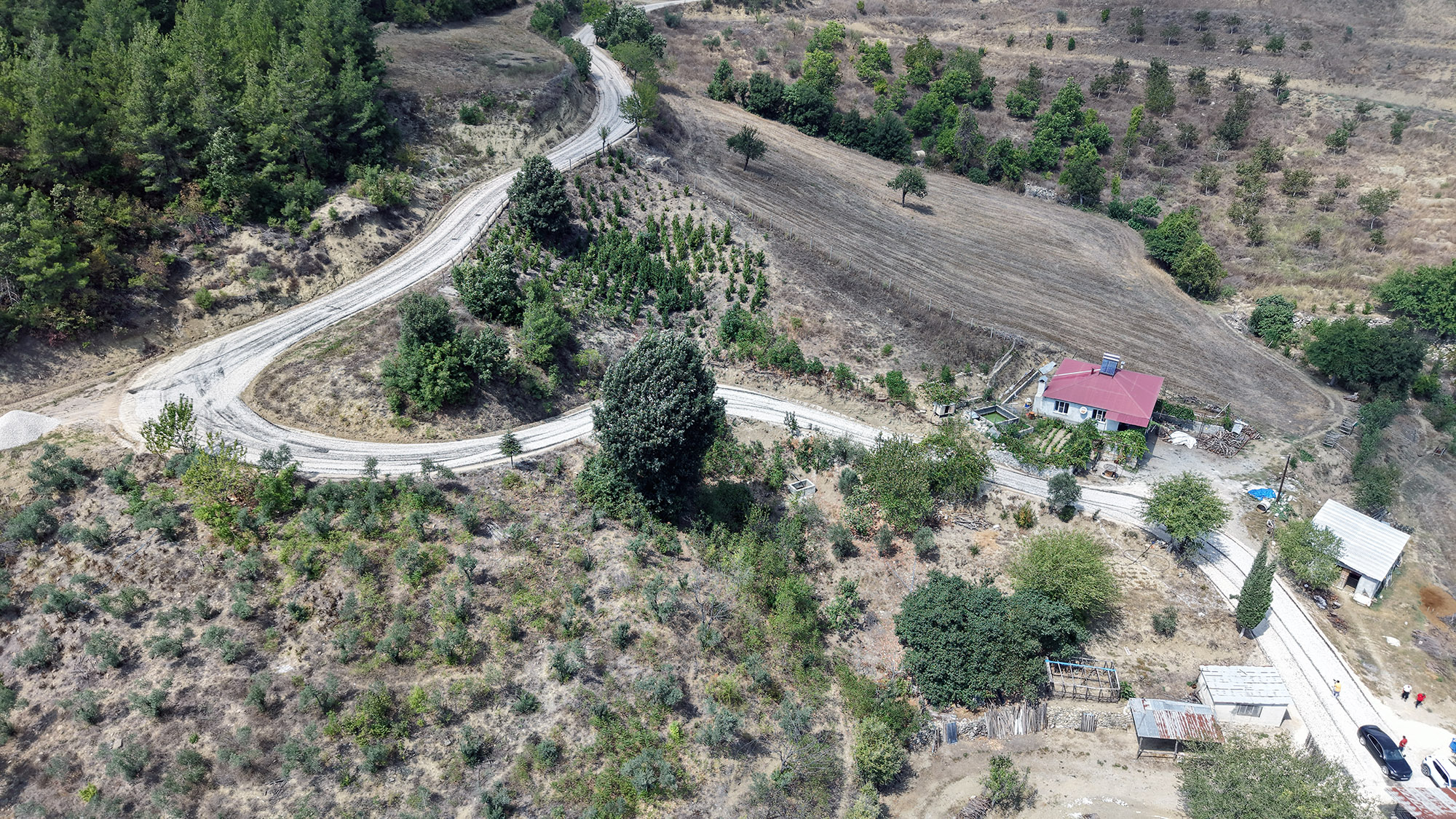 Andırın Alanlı (5)