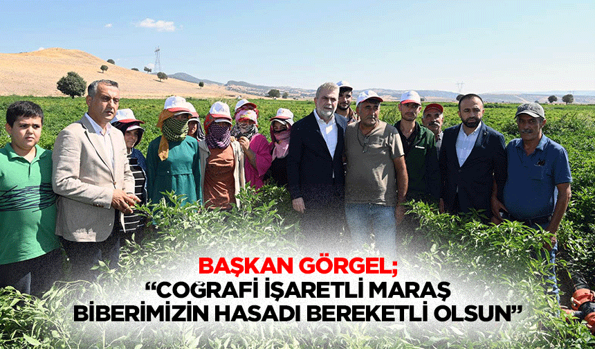 Başkan Görgel; “Coğrafi işaretli Maraş biberimizin hasadı bereketli olsun”