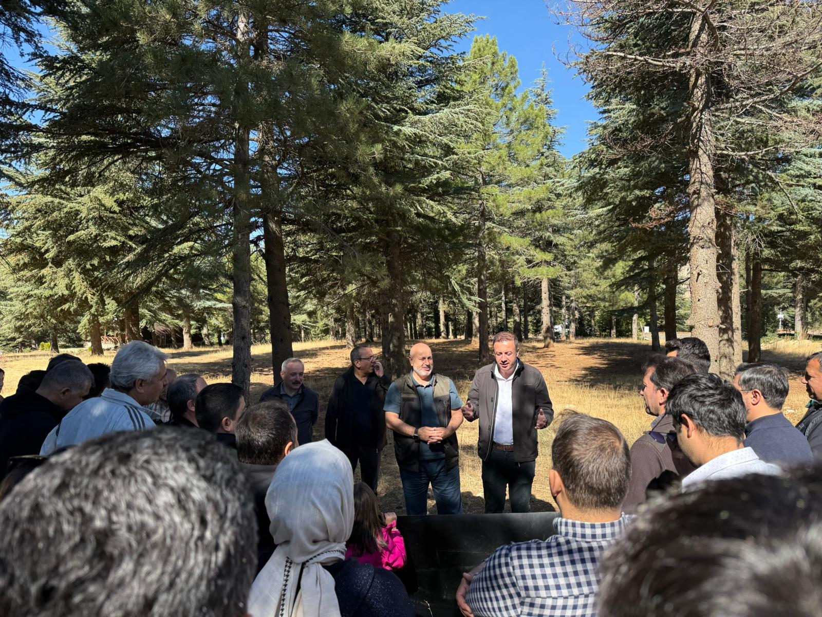 A0F074Aa 3B2F 4392 B0E9 3Be60C5643Bf