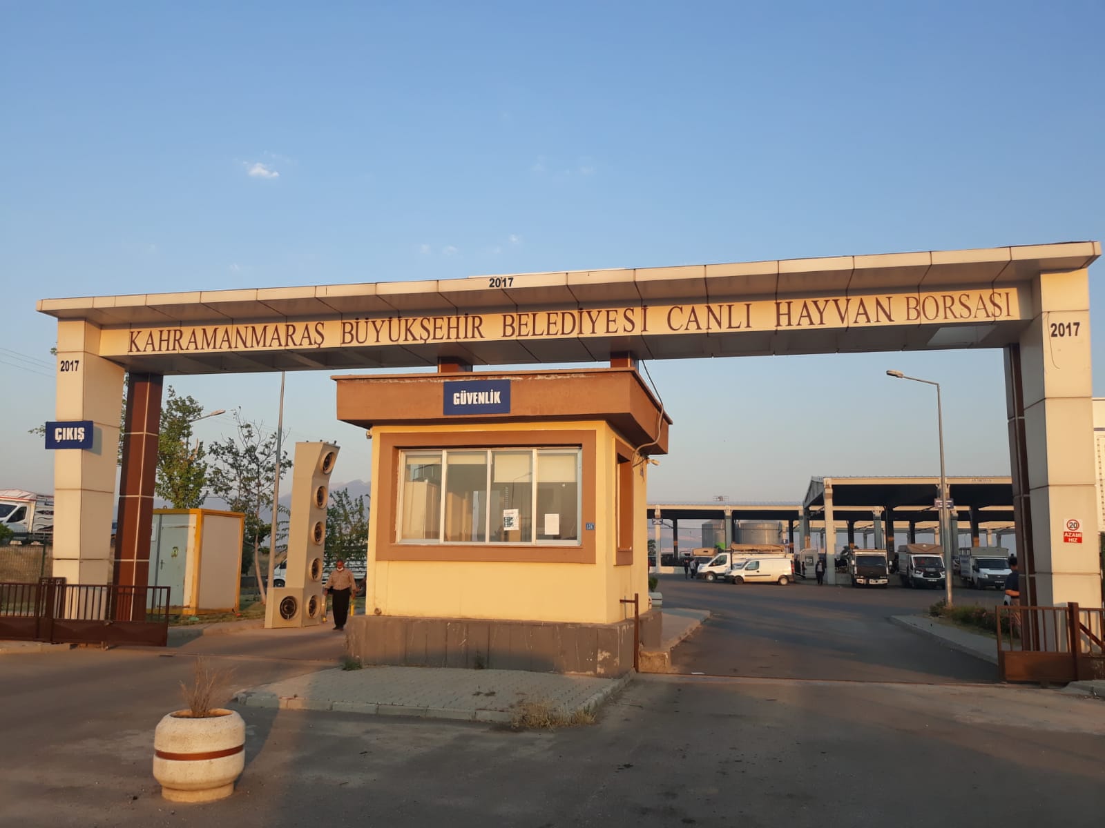 Canlı Hayvan Borsası (1)-1