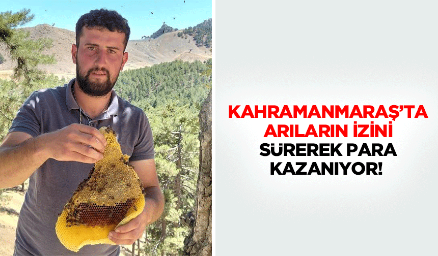 Kahramanmaraş’ta arıların izini sürerek para kazanıyor!