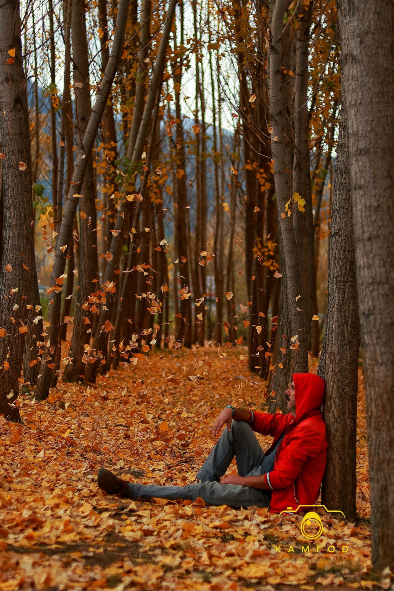 05Aa1E35 16Db 408D A26A 06E8F3673546