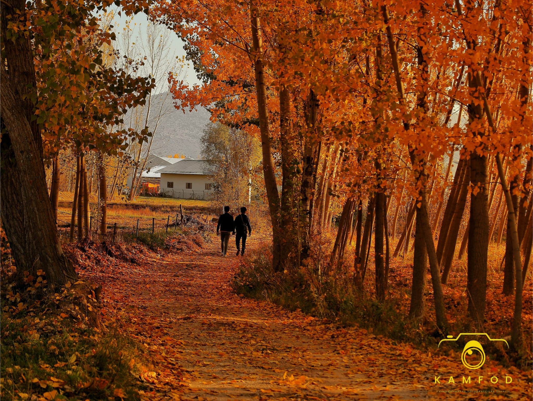 26E42A6D A322 4E03 80B3 D6C41015520E