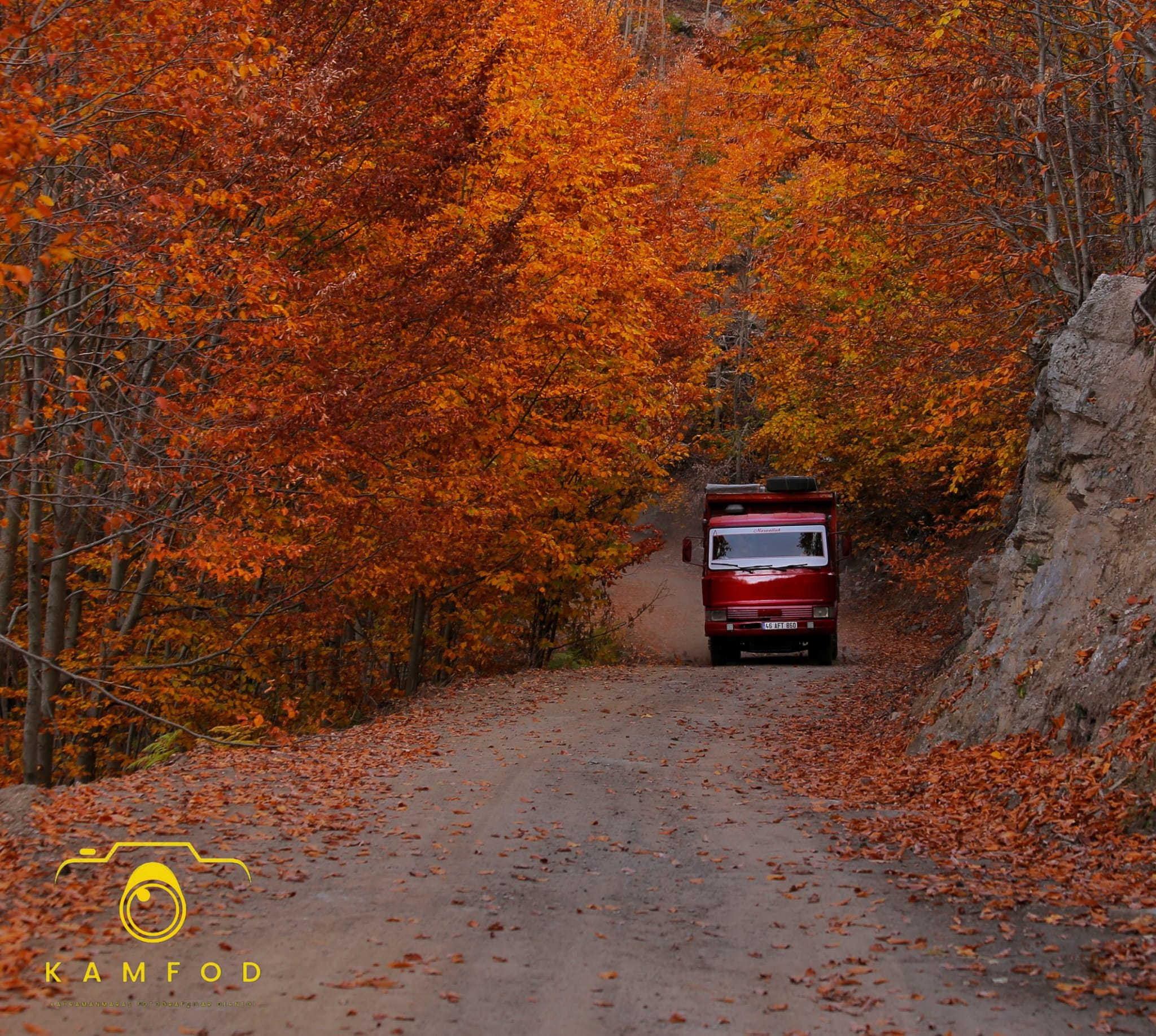 2D470Dcf 608D 4981 8A3D 02Fe0B1D9Fb3