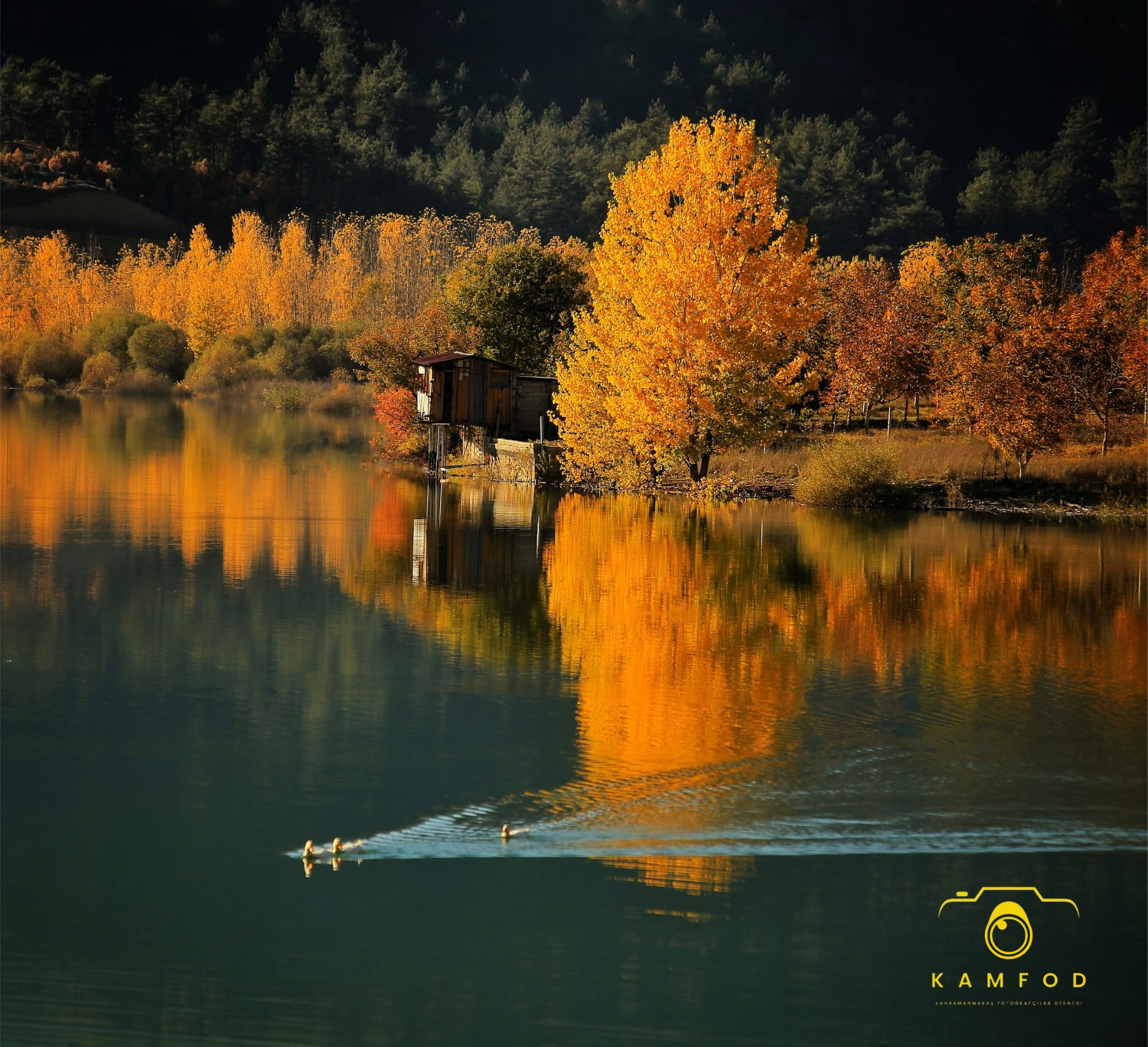 3B8905E6 Be43 445D 9421 2F0Ee5F70A98