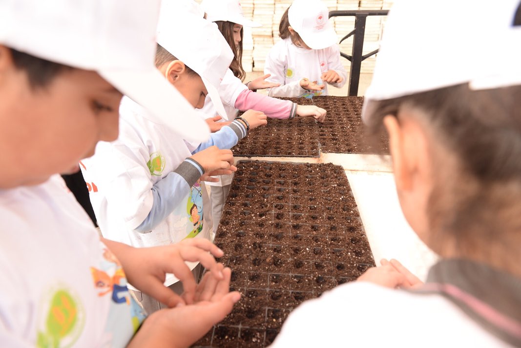 582079205 18152521036410766 3795020941000619520 N