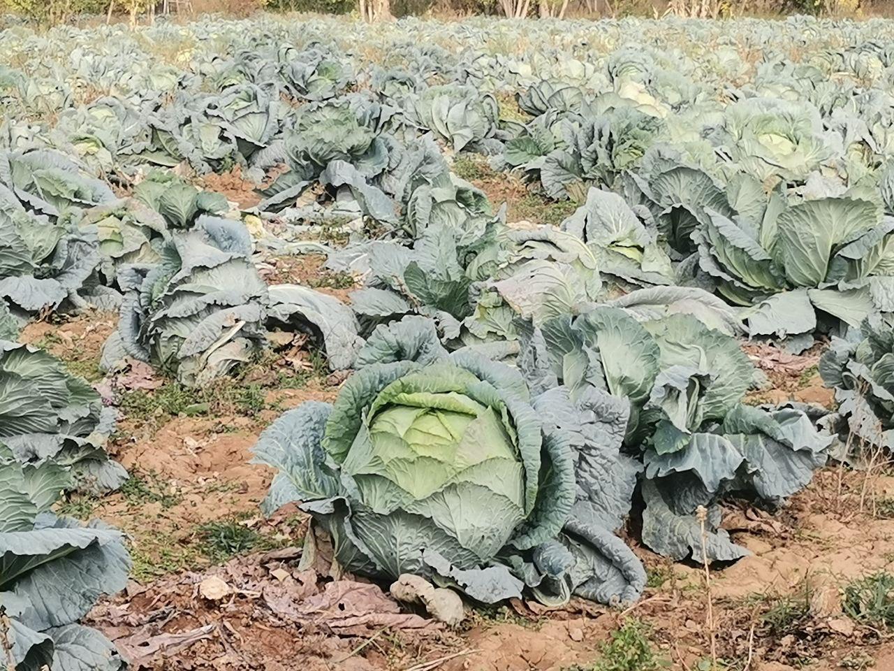 6C020F3C 4E06 40E2 8975 9969A802C2F9