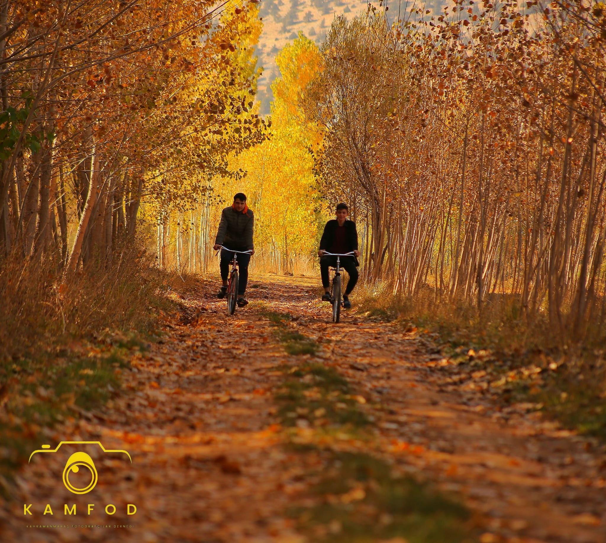 Aad2E30D Dd8F 4Adb 9A34 564A5A0E02B0