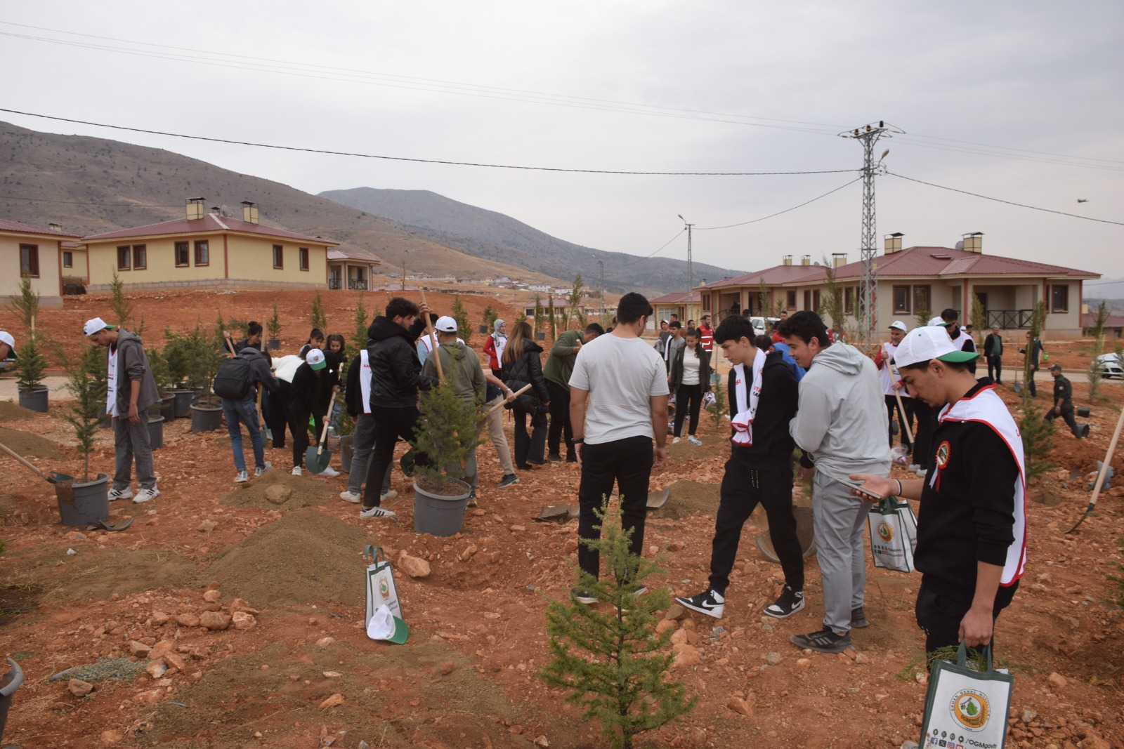 B217848F 5Eb6 481E 918D Df4C84B63Cbb