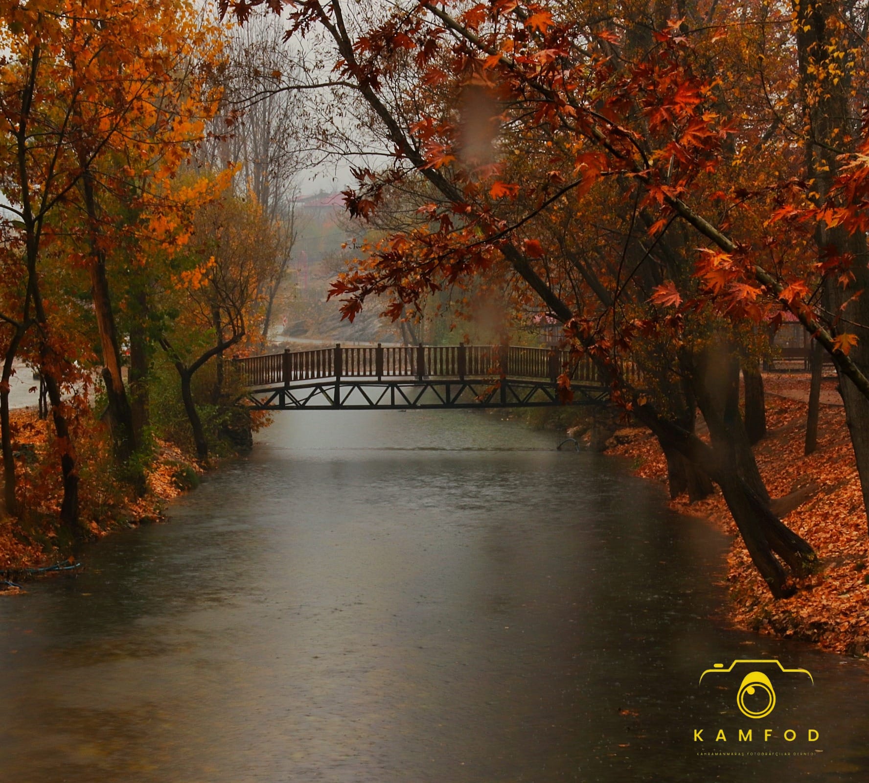 F166B379 B3Da 4545 9Bba F9Ee1E76Ed42