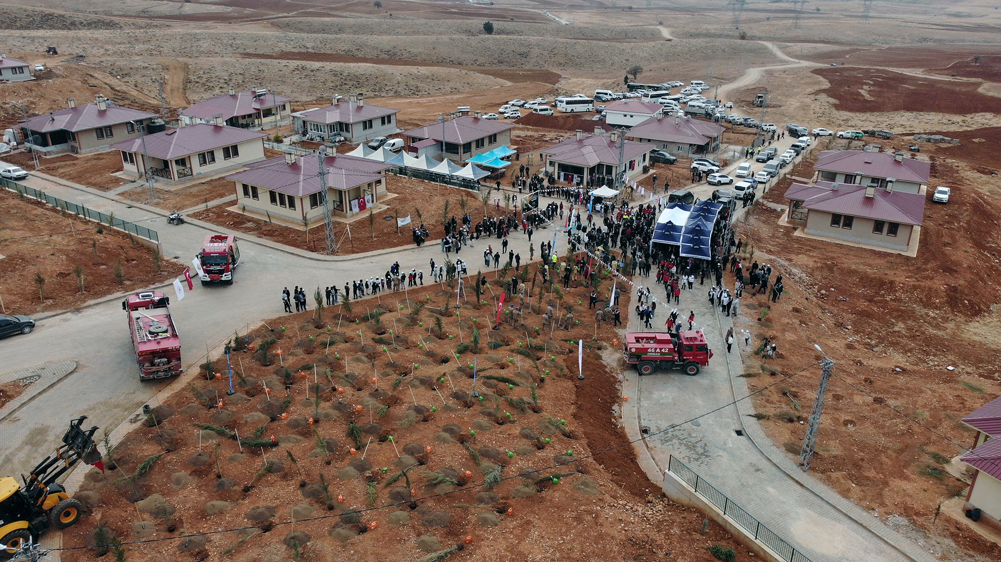 Milli Ağaçlandırma Günü (13)