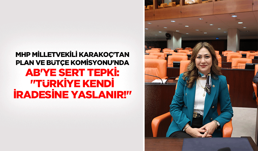 MHP Milletvekili Karakoç'tan Plan ve Bütçe Komisyonu'nda AB'ye sert tepki: "Türkiye kendi iradesine yaslanır!"