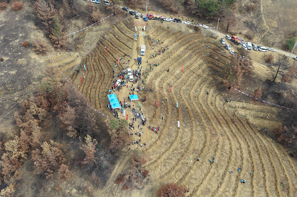 Whatsapp Image 2025 11 11 At 14.45.53