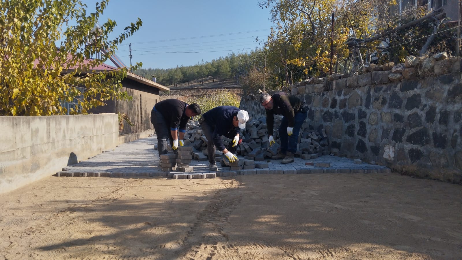 Whatsapp Image 2025 11 28 At 12.04.54