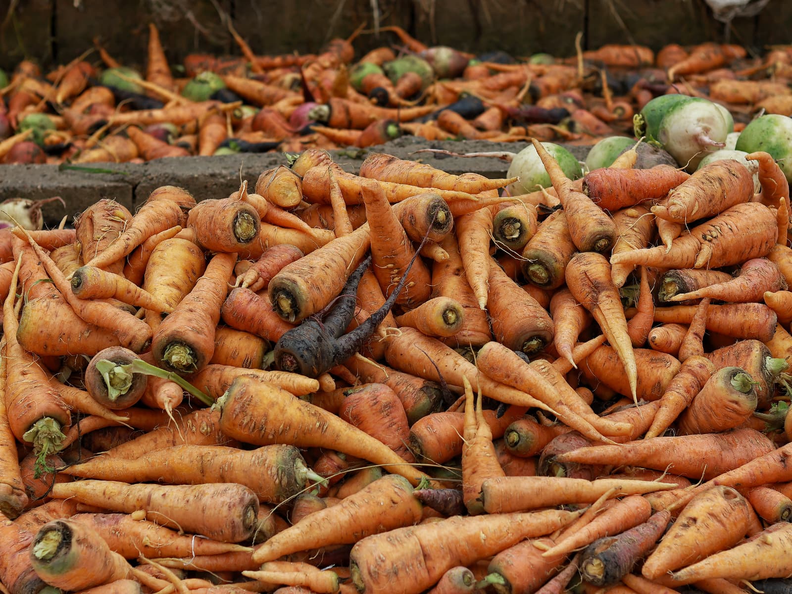 3C9E289F D268 4585 A418 F8222D4612Cd