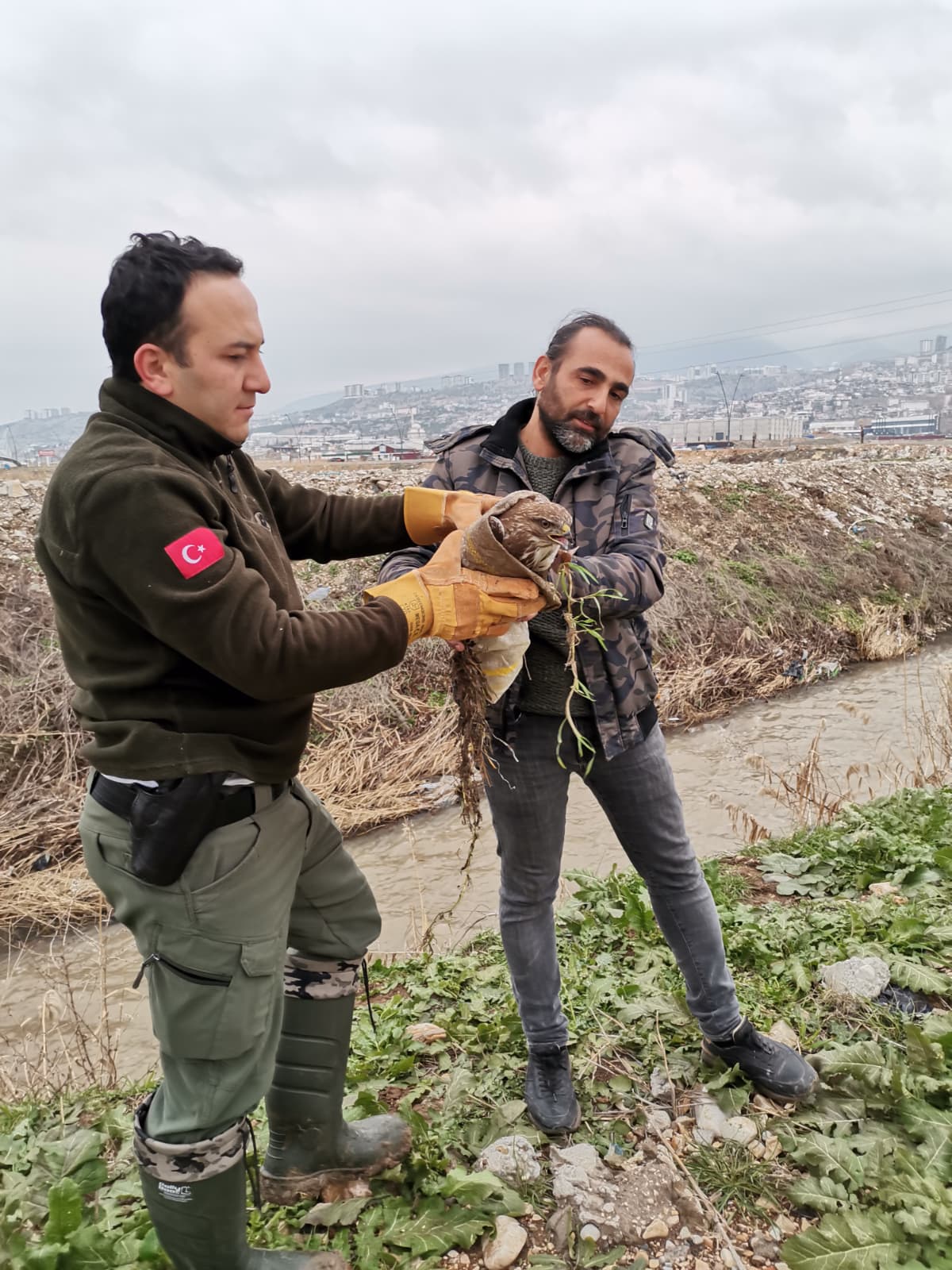 6Dd432C7 Addc 4796 B7E2 8Fe911A4A930