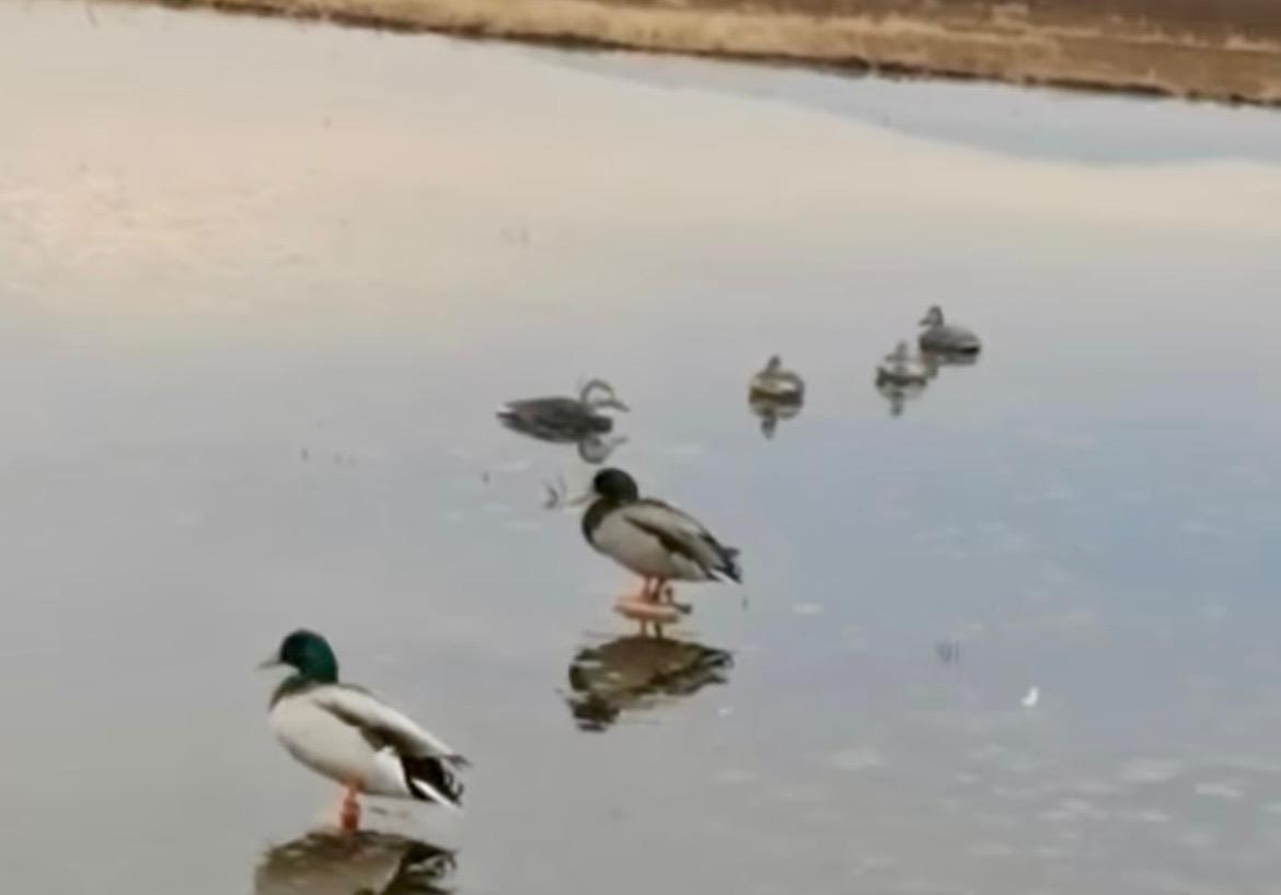 A31F593A B832 417D 984B 81E8E4Ebf5C3