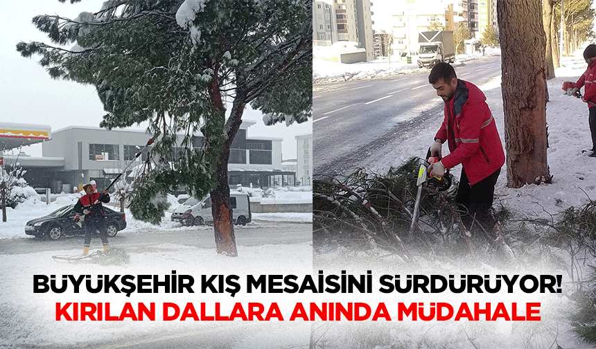 Büyükşehir kış mesaisini sürdürüyor! Kırılan dallara anında müdahale