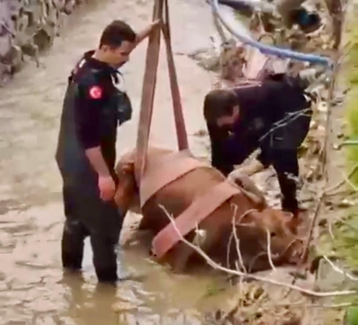 233Ff9C7 8Fd2 4516 B979 36Fe2Aab6A39