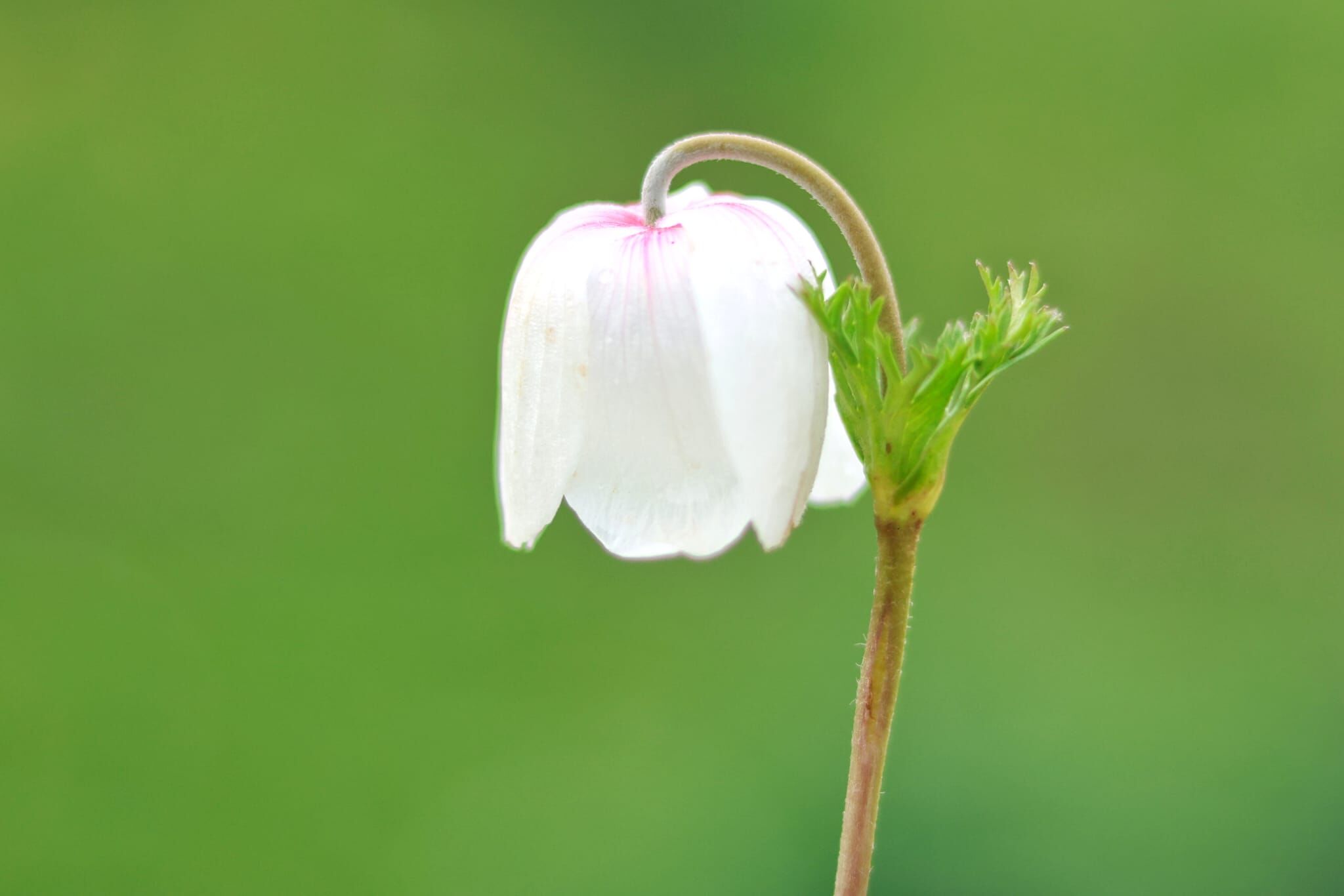 3Dfc91A4 9Cb7 4A9A A85D 89Fdc391B65A