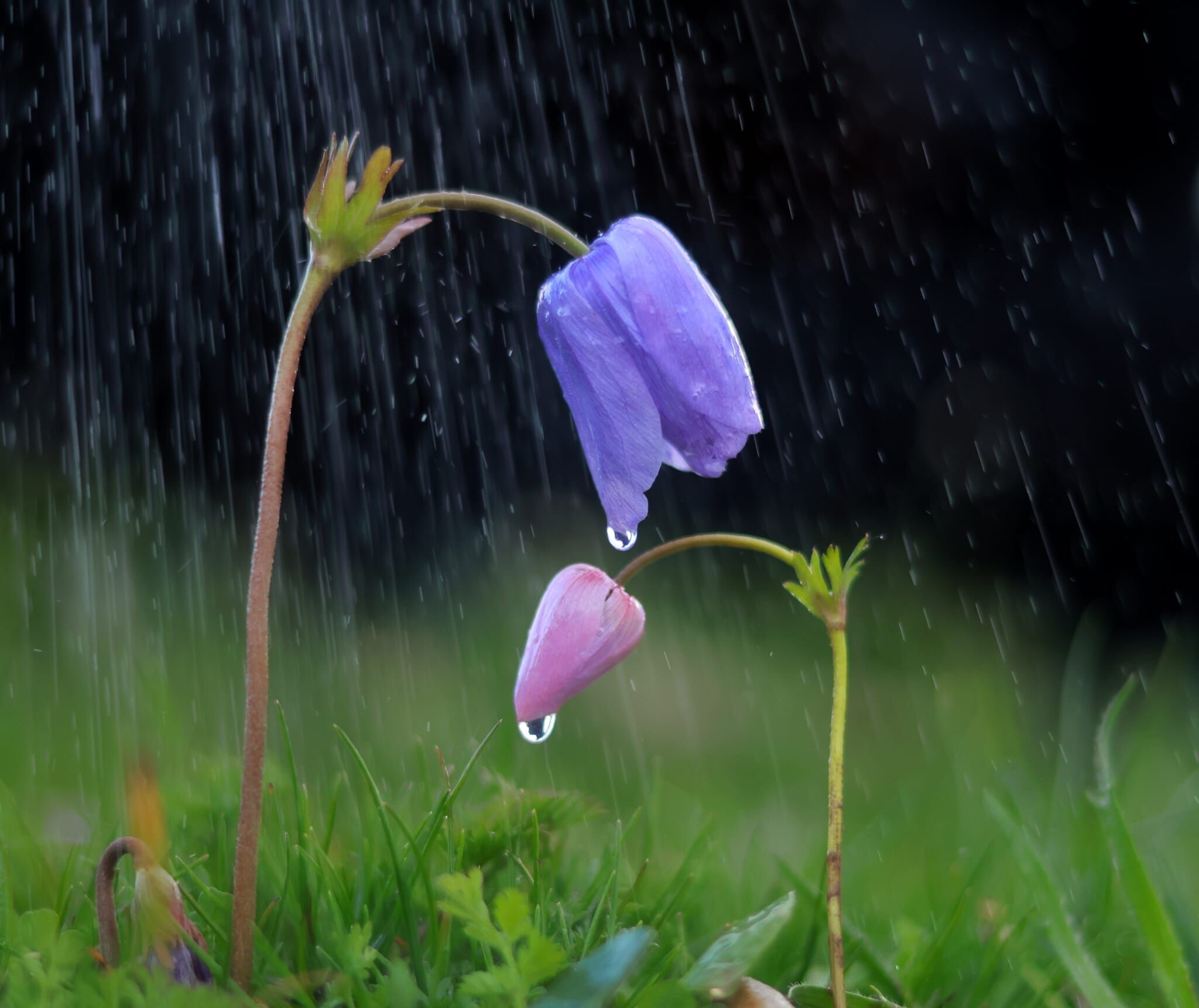 5D846A53 7E19 453D 8964 29618F9Bc7De