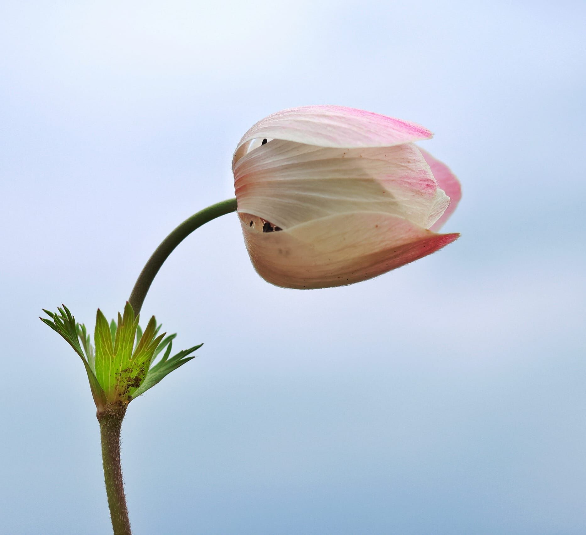 D0233395 C84E 4891 9999 2027Ab40E43F