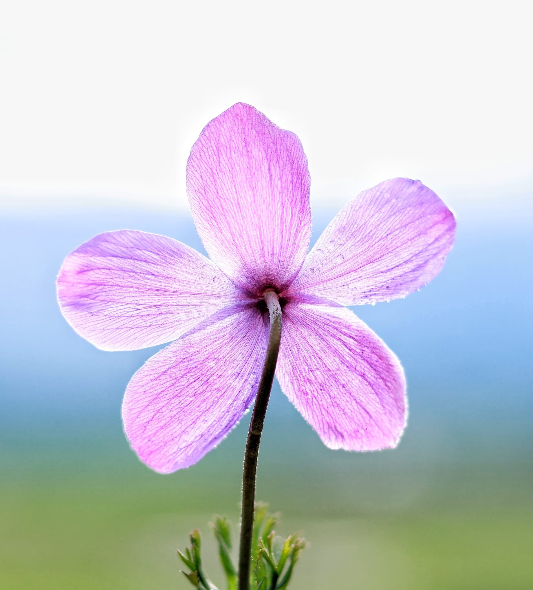 E514A2A3 D08F 4465 9Efe 900C1E6D9Ba9