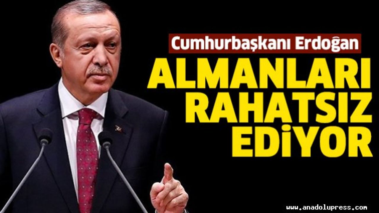 Cumhurbaşkanı Erdoğan Almanları rahatsız ediyor