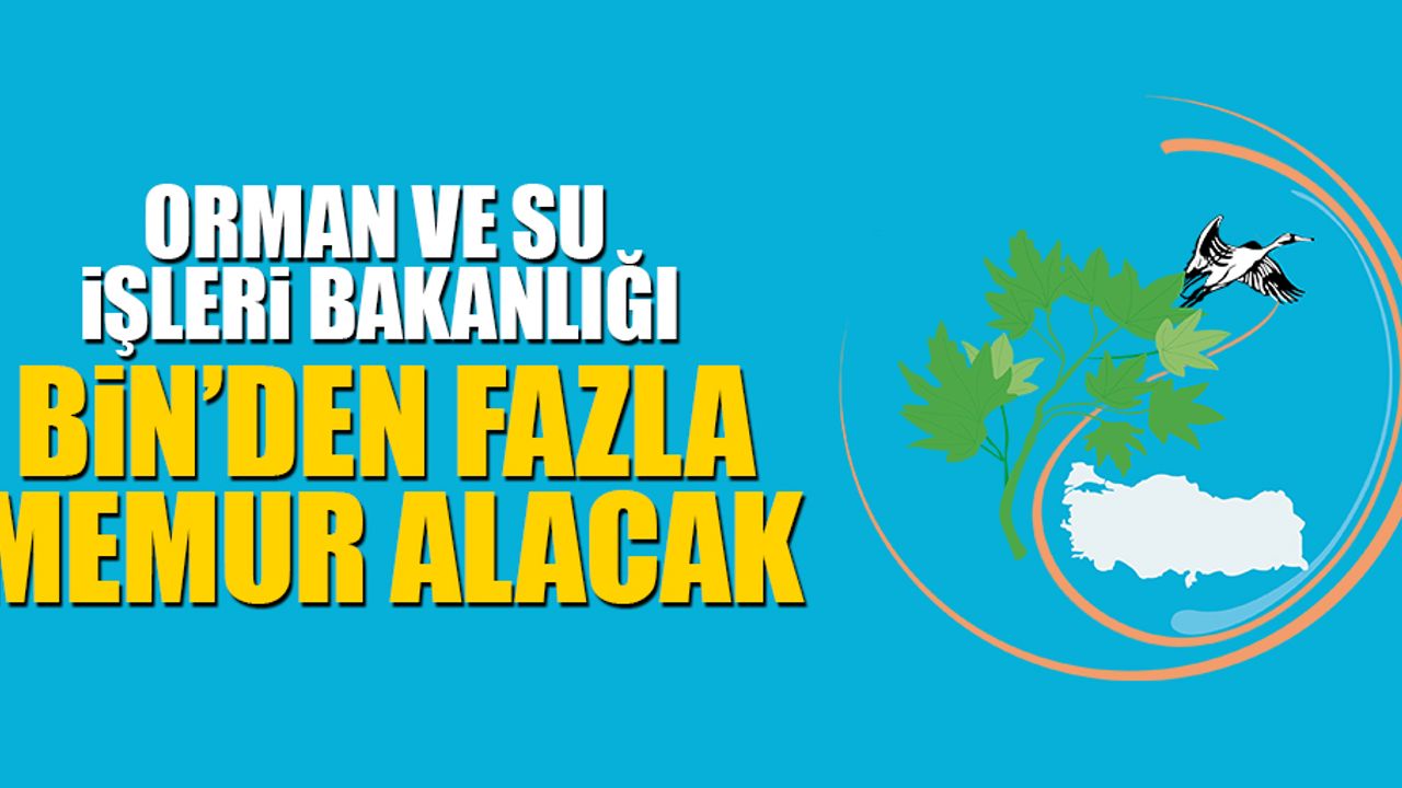 Orman ve Su İşleri Bakanlığı Bin'den fazla memur alımı yapacak