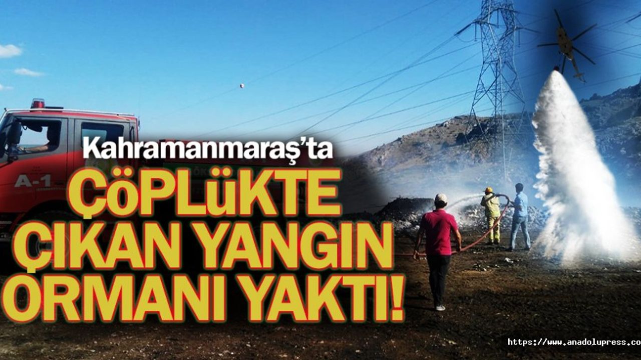 Çöplükte çıkan yangın ormanı yaktı!