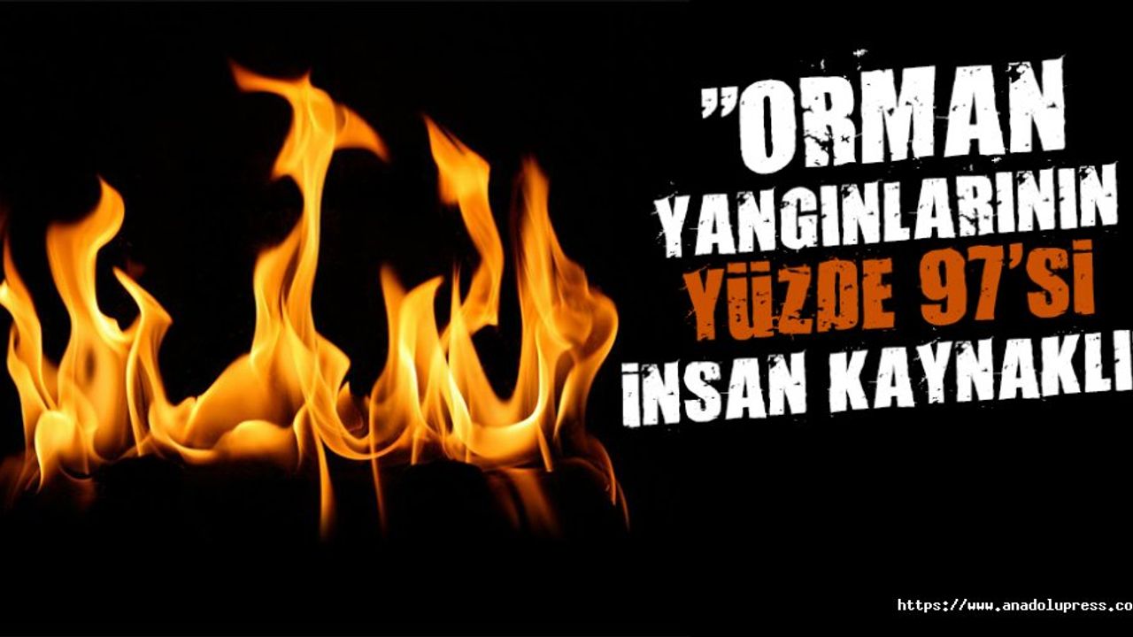 "Orman yanginlarinin yüzde 97'si insan kaynakli"