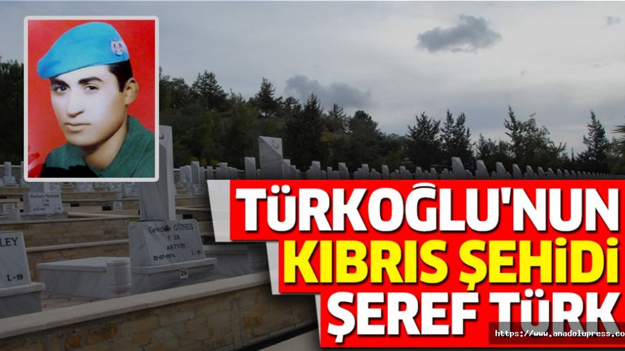 Türkoğlu'nun Kıbrıs Şehidi: Şeref Türk