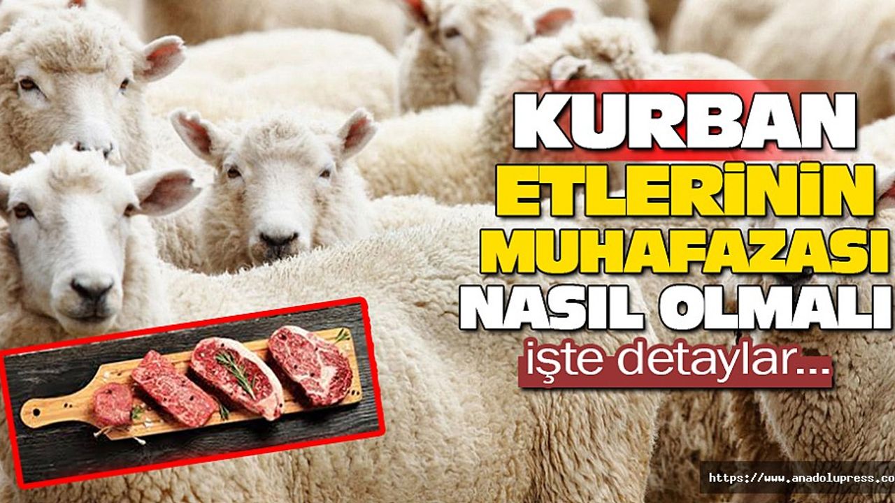 Kurban Bayramı’nda Kesilen Kurban Etlerinin Muhafazası