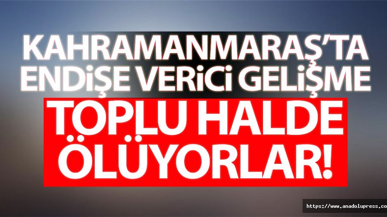 Kahramanmaraş’ta endişe verici gelişme! toplu halde ölüyorlar…
