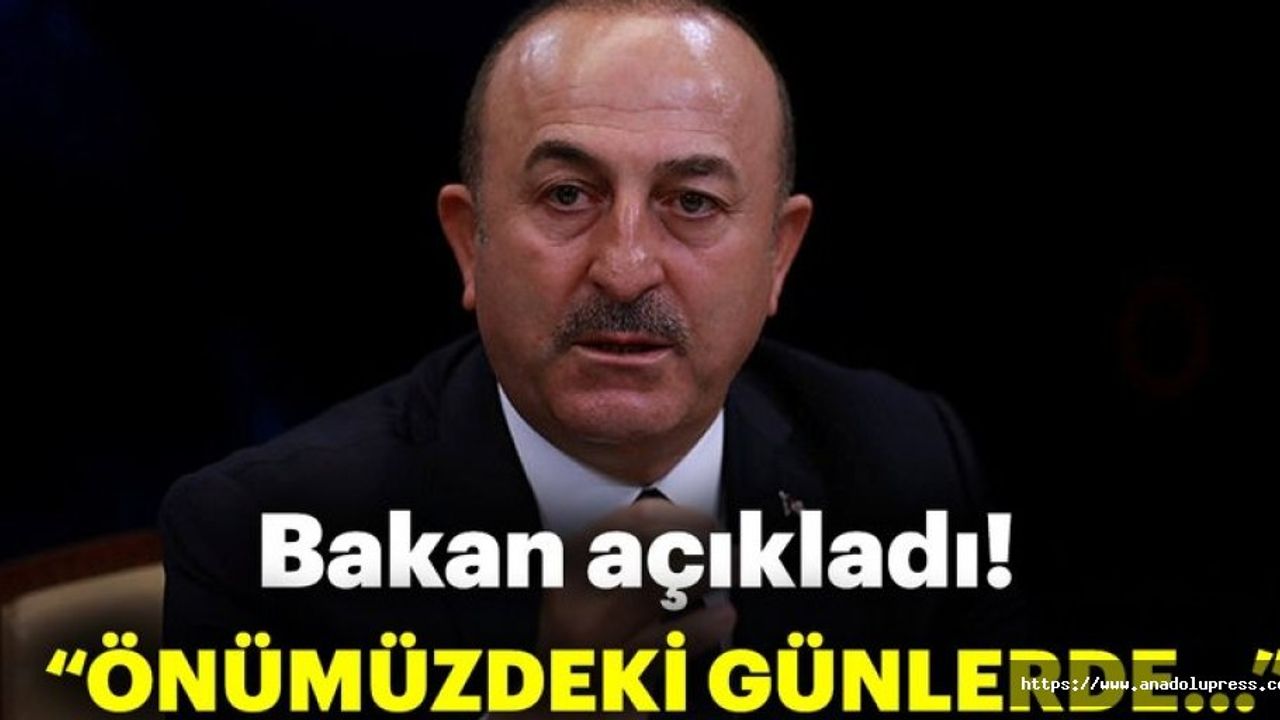 "FETÖ konusunda Latin Amerika, Afrika ve Güneydoğu Asya'dan netice alacağız"