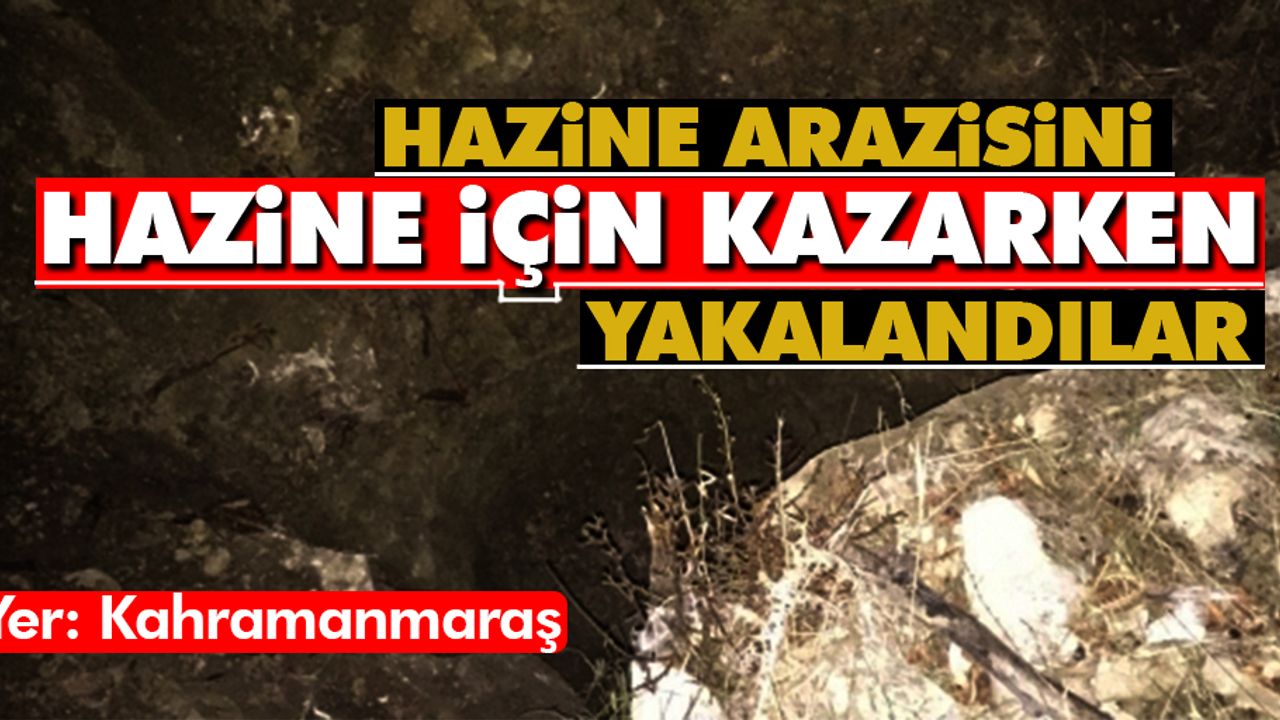 Hazine arazisini hazine için kazarken yakalandılar