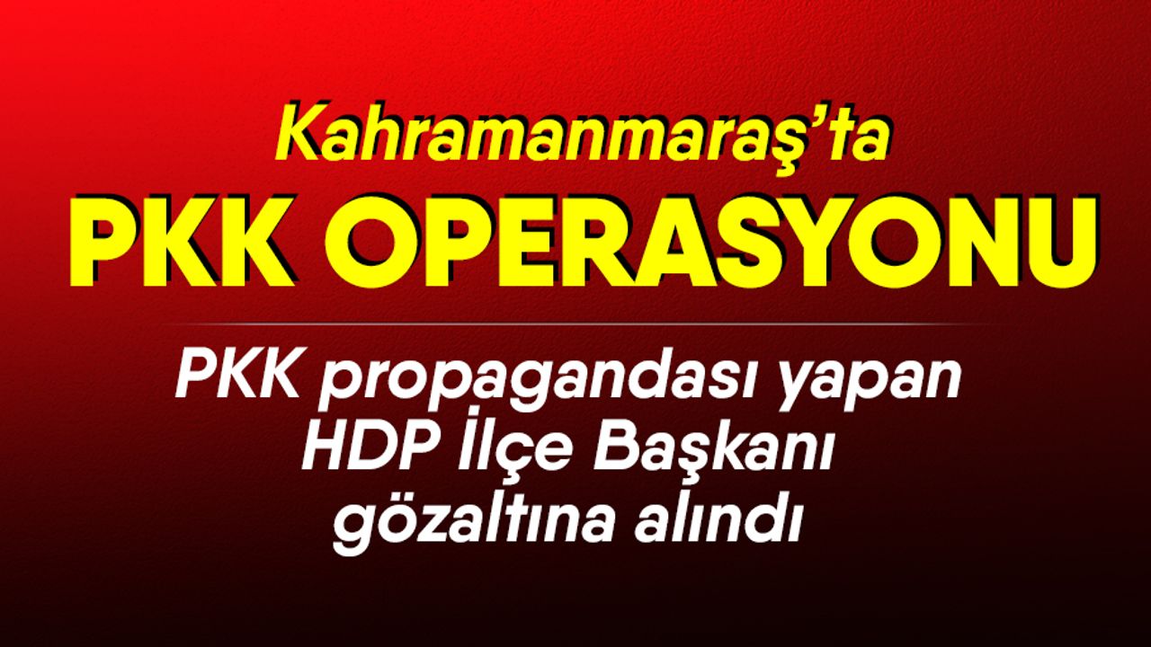 PKK propagandası yapan HDP İlçe Başkanı gözaltına alındı