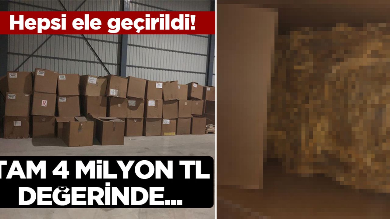 Mersin'de dev operasyon! Piyasa değeri tam 4 milyon TL!
