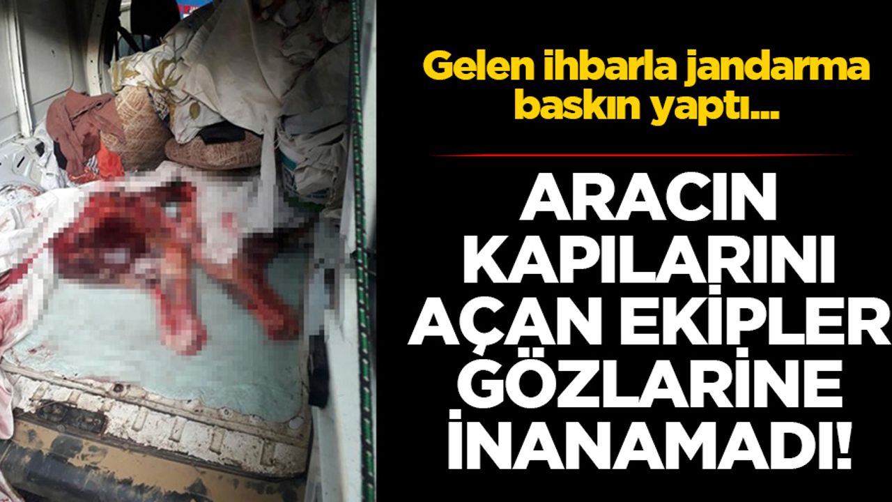 5 atı tüfekle vurup, parçaladılar... Vatandaşa at eti yedireceklerdi